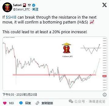 加密市场观察：比特币强势反弹，这些币种正引燃市场热情