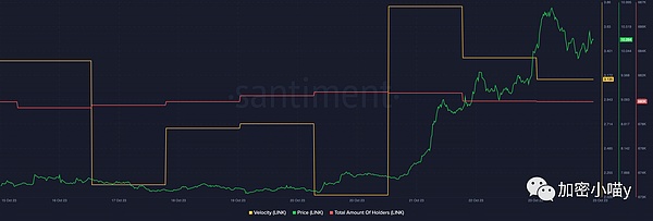 一个老韭菜的选币心得：如何在数字货币市场淘金