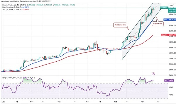 这只暴躁鹅正席卷艺术圈！从魔都到香港的数字艺术旋风